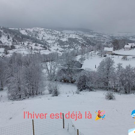Les Chalets Bambi & Jacuzzi Privatif La Bresse Room photo