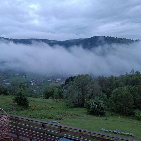Les Chalets Bambi & Jacuzzi Privatif La Bresse Exterior photo